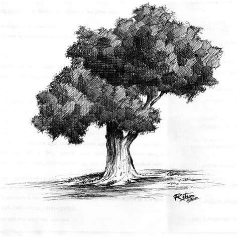 drawing larawan ng puno|Balite .